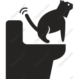 Playful Cat