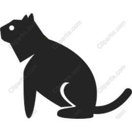 Elegant Cat