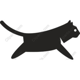 Charming Walking Cat