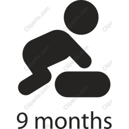 9 Months Baby Milestone