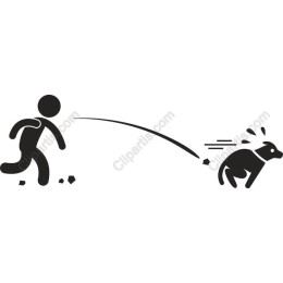 Energetic Pet Owner and Dog