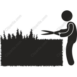 Gardener Trimming Hedge