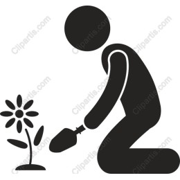 Gardening Enthusiast