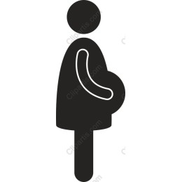 Minimalist Pregnant Woman