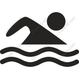 Minimalist Swimmer