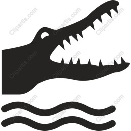 Crocodile Head