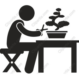 Minimalist Bonsai Care