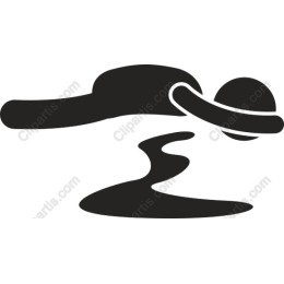 Dynamic Swimmer
