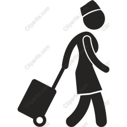 Stylish Traveler