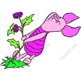 Joyful Pink Pig