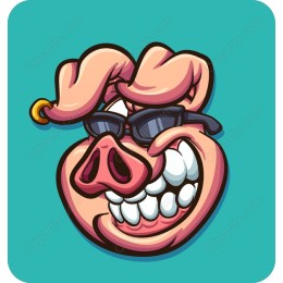 Cool Pig