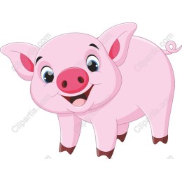 Playful Pink Pig