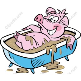 Spa Day Pig