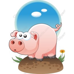 Playful Pig