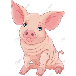 Adorable Cartoon Piglet