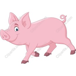Cartoon Pig