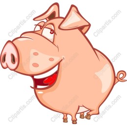 Cartoon Pig