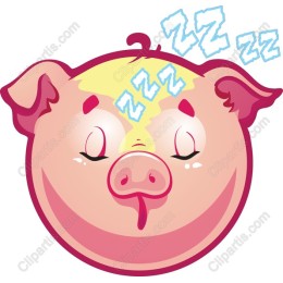 Sleepy Pig
