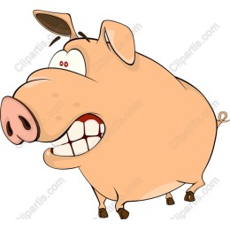 Cartoon Pig
