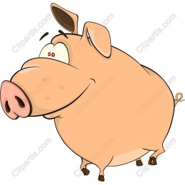 Cartoon Pig
