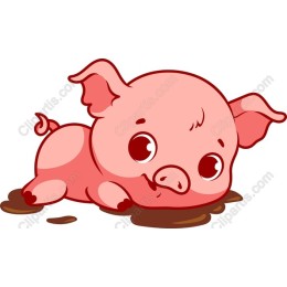 Adorable Baby Pig