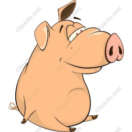 Cartoon Pig