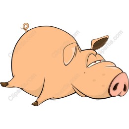 Plump Cartoon Pig