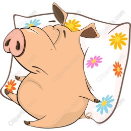 Charming Sleeping Pig