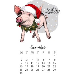 Festive Santa Pig