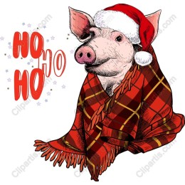 Festive Piggy