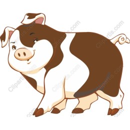 Charming Cartoon Pig
