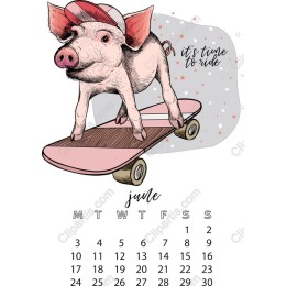 Skateboarding Pig