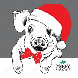 Merry Christmas Pig