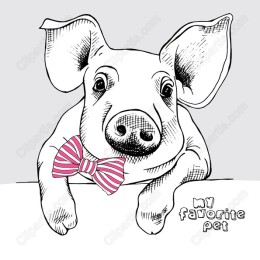 Charming Pig with Bowtie - My Favorite Pet