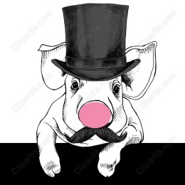Dapper Pig