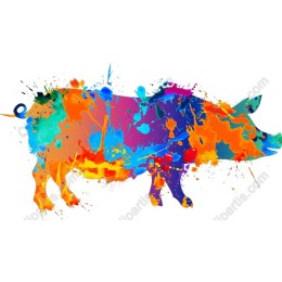 Colorful Pig