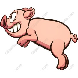 Playful Pig