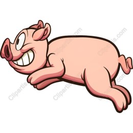 Playful Piglet
