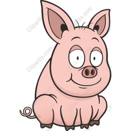 Cute Cartoon Pig