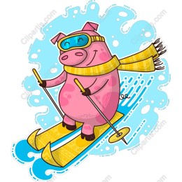 Skiing Pig