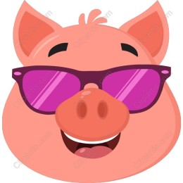 Cool Pig