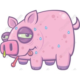 Sick Piggy