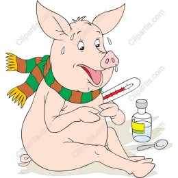 Sick Pig Character