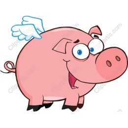 Flying Pig