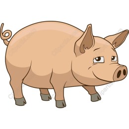 Happy Cartoon Pig