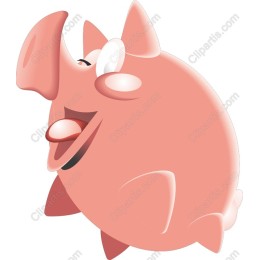 Charming Playful Pig