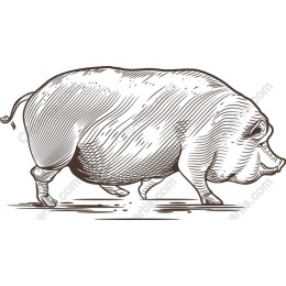 Vintage Plump Pig