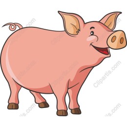 Happy Pig