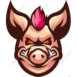Fierce Wild Boar Head