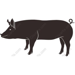 Premium Pig